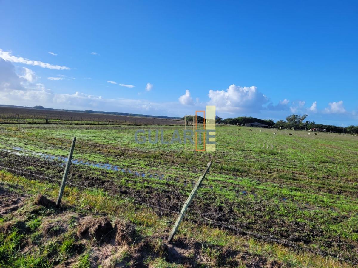 Terreno à venda, 310m² - Foto 6