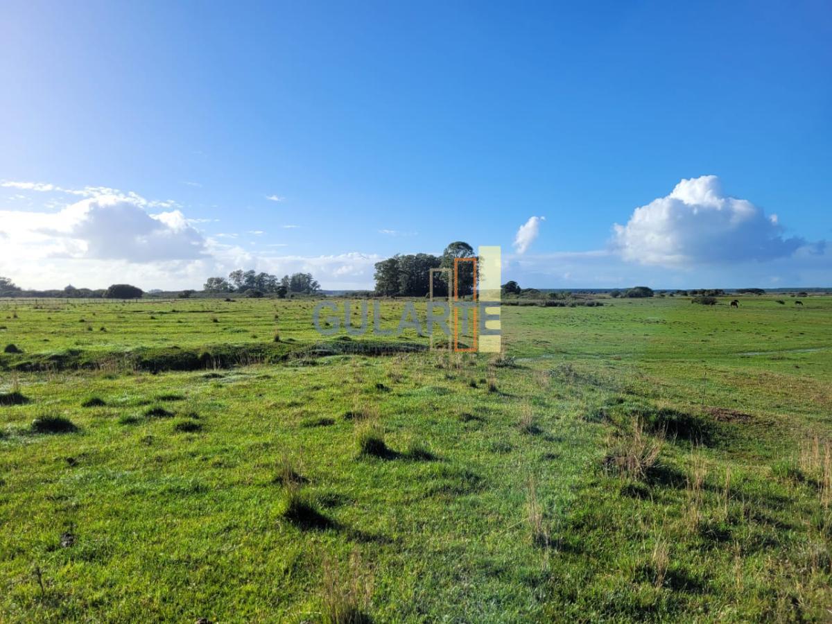 Terreno à venda, 310m² - Foto 11