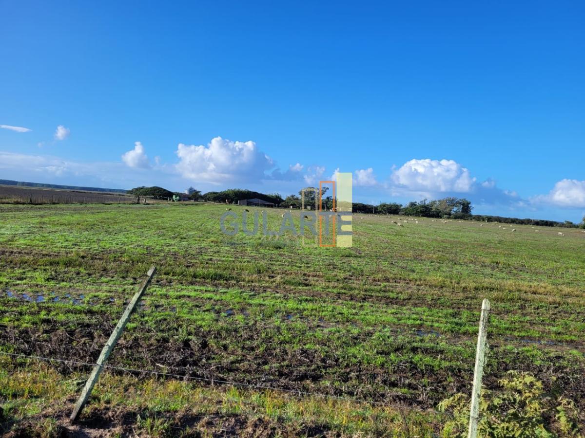 Terreno à venda, 310m² - Foto 12