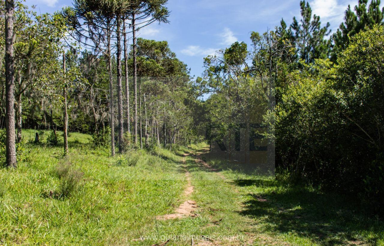 Chácara à venda, 30m² - Foto 2