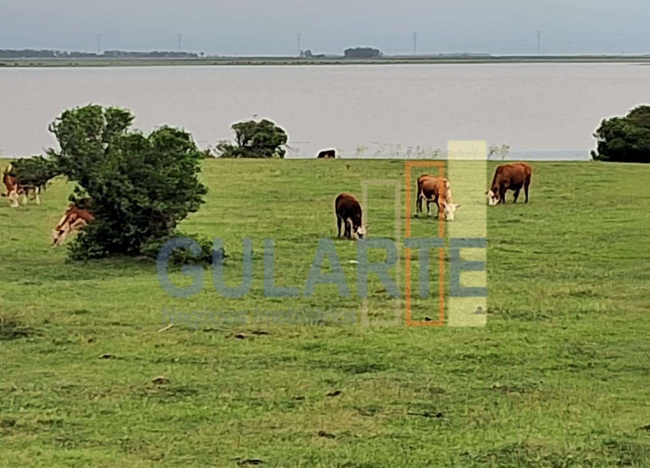 Chácara à venda, 1000m² - Foto 8