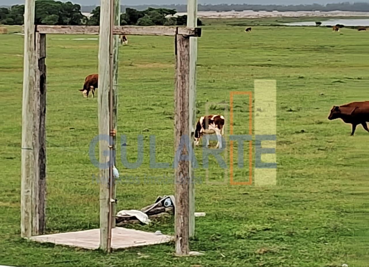 Chácara à venda, 1000m² - Foto 11