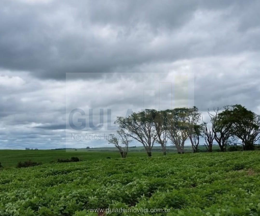 Chácara à venda, 600m² - Foto 4