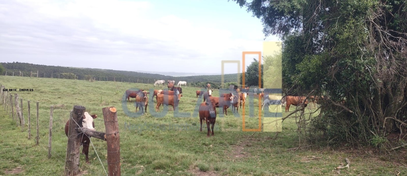Chácara à venda, 414m² - Foto 3